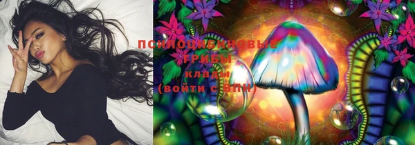 прущая мука Алзамай