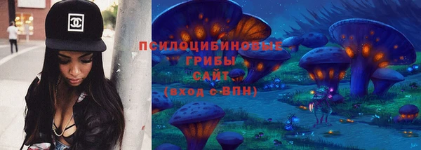 МДПВ Алексин
